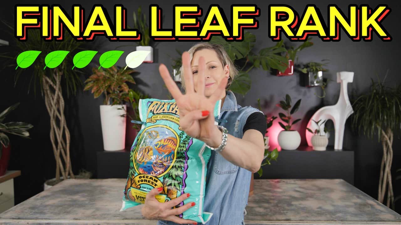 A person holding a FoxFarm Ocean Forest soil bag, showing a four-finger gesture with bold text 'FINAL LEAF RANK' and four out of five leaf icons filled, concluding the FoxFarm Ocean Forest soil review.