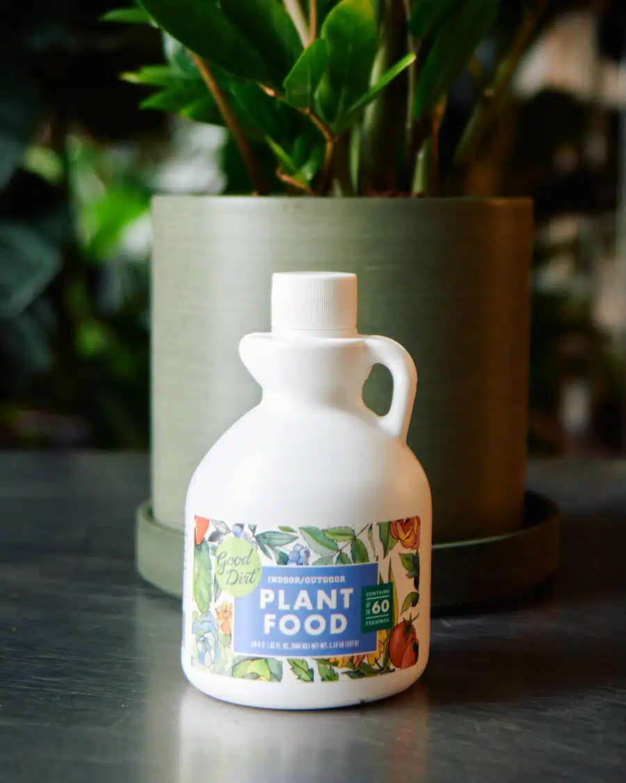 A bottle of Good Dirt Plant Food placed in front of a green pot with a ZZ plant, illustrating the best fertilizer for ZZ plants.