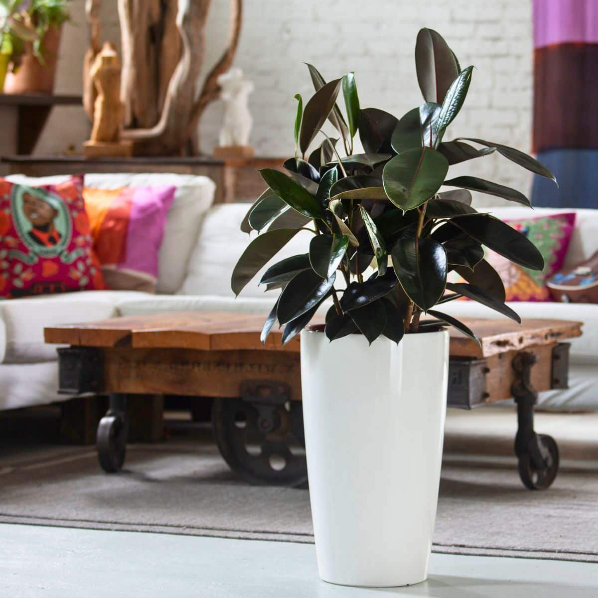 18 Best Plants For Bedroom: A Complete Guide For Beginners, image size:1200x1200