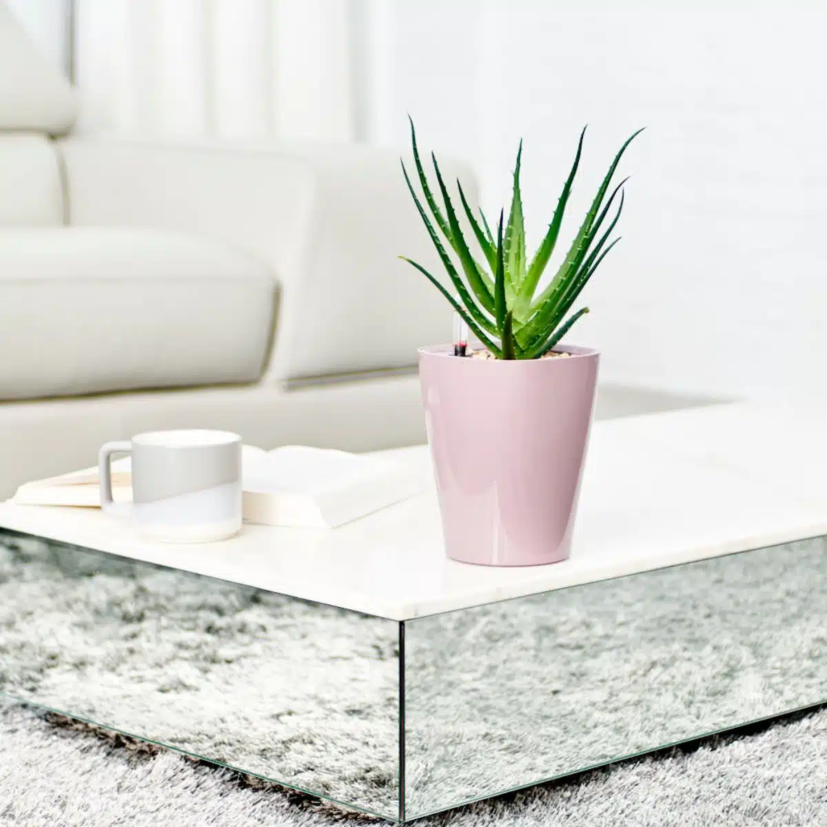 Modern living room with a white sofa and glass coffee table featuring a potted aloe vera, an open book, and a ceramic mug on a shaggy grey rug, highlighting the best plants for bedroom decor in a bright interior design setting.
