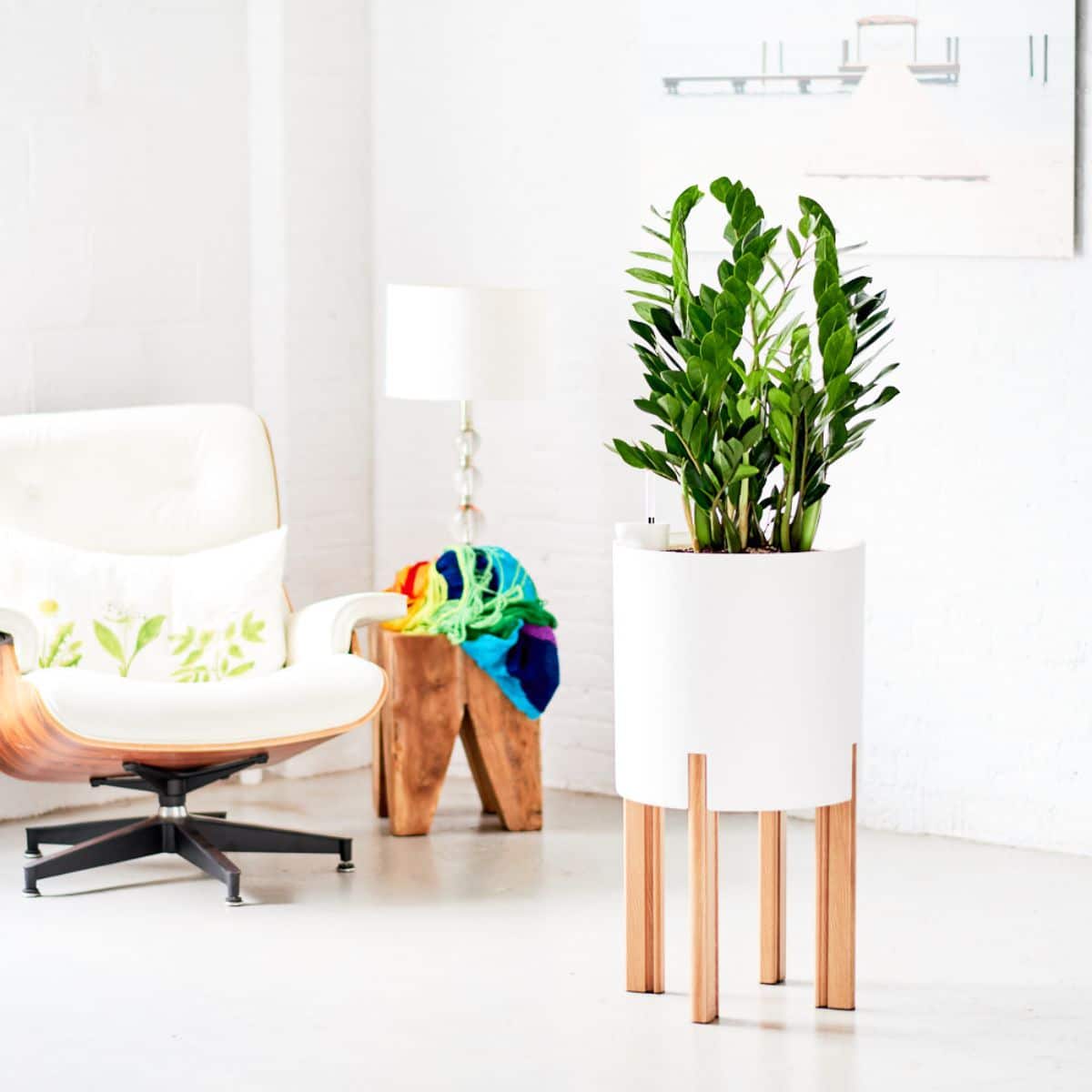 A modern home interior featuring design furniture, an elegant white armchair, a stylish wooden side table, a cozy lamp, and a large green potted plant in a white planter with wooden legs, showcasing one of the best plants for bedroom decor.