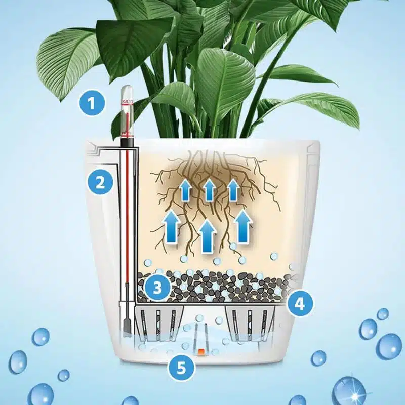 Image of self-watering planter and plant roots