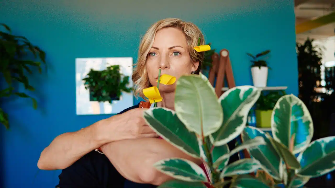 Juliette in a relaxed pose behind a variegated plant, with yellow sticky gnat traps on the foliage, illustrating a common method for dealing with plant pests in an indoor garden setting.
