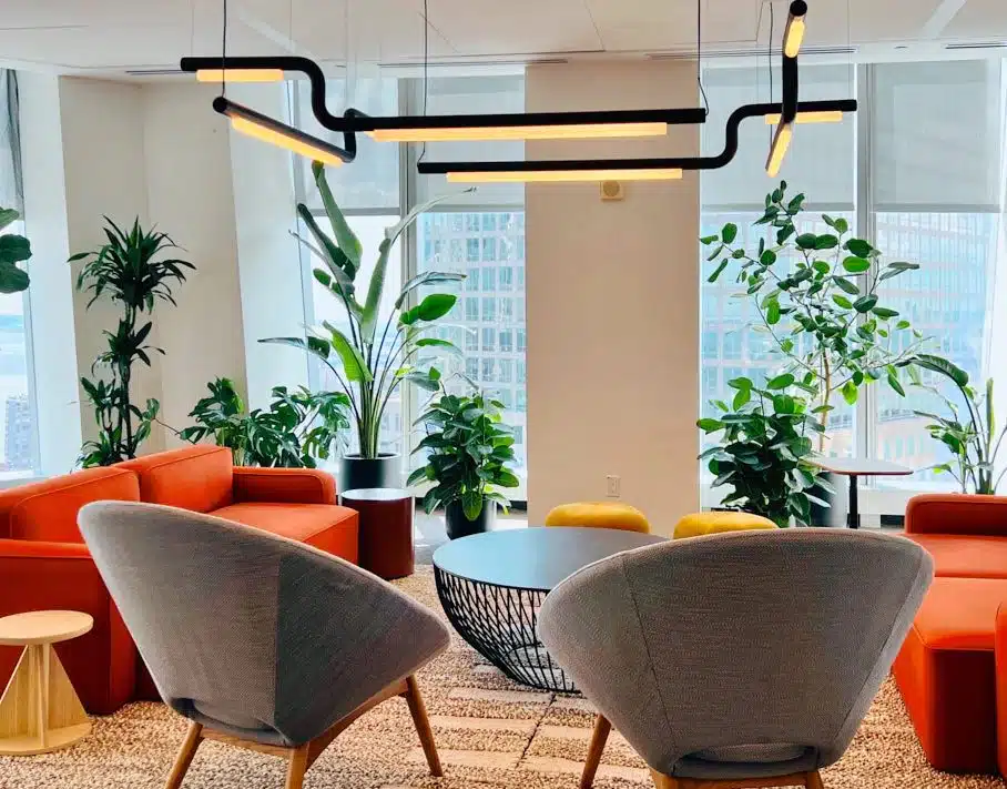 Image of best low light plants in modern office environment