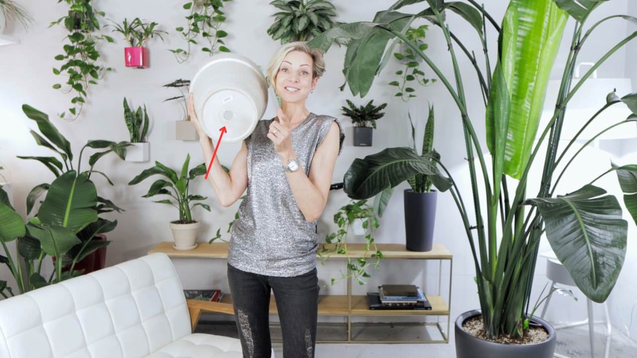 Juliette holding an upside-down pot to illustrate the importance of drainage for a bird of paradise plant in a well-decorated indoor plant-filled space.
