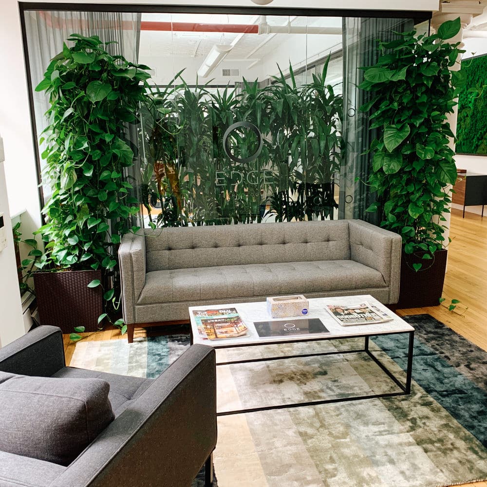 Modern office lobby with gray sofas, lush green plants, and a stylish coffee table.