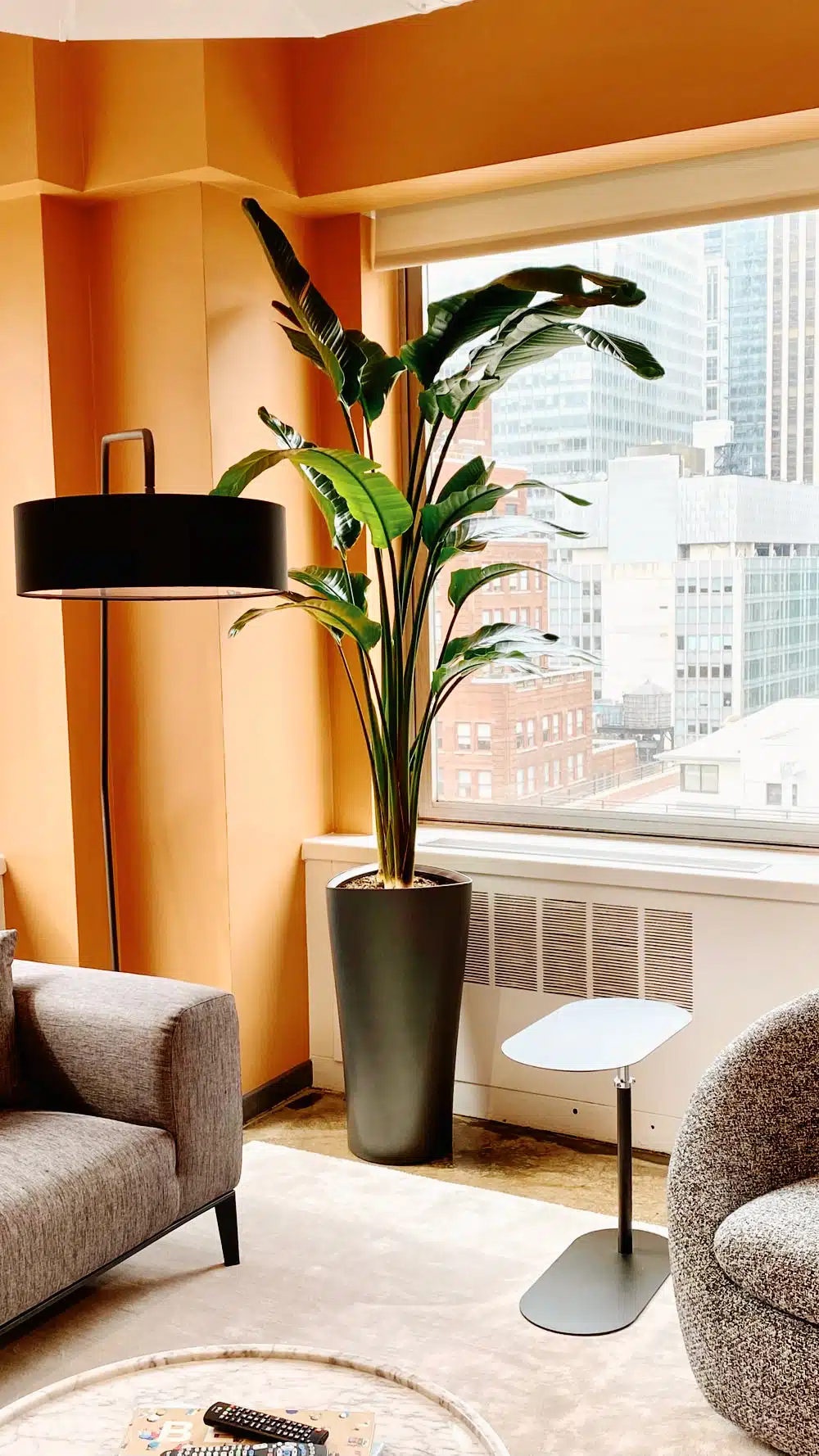 Modern office room with stylish plant and urban view.