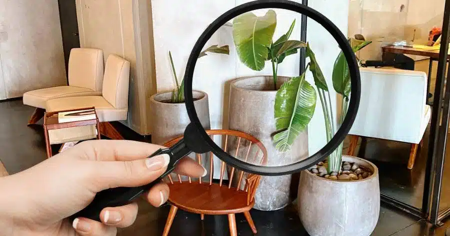 Image of magnifying glass with neglected plants
