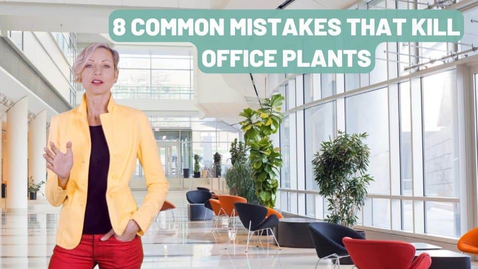 office mistakes 1