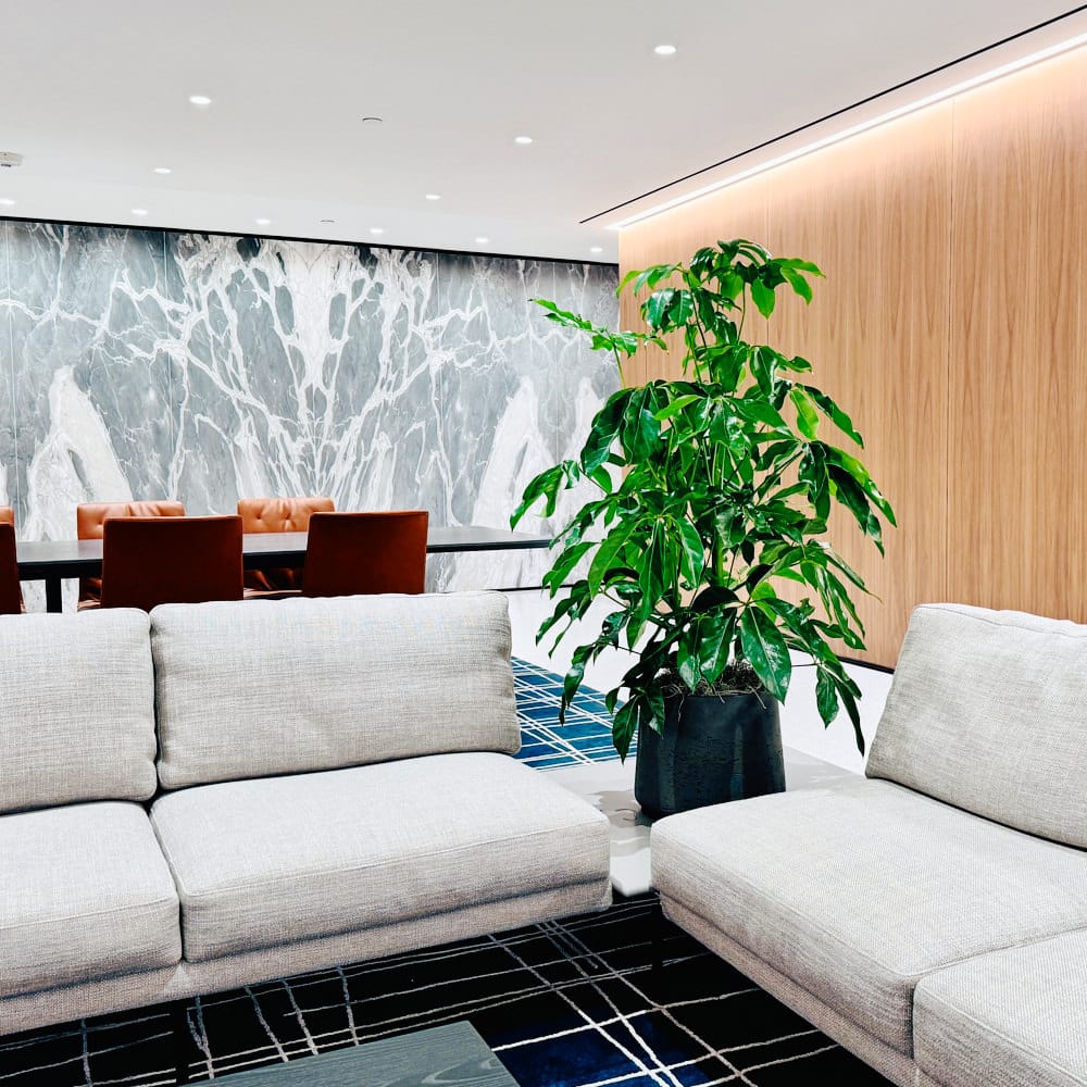 Modern NYC office lounge with stylish furniture, marble wall, and indoor plant for elegant workspace design.