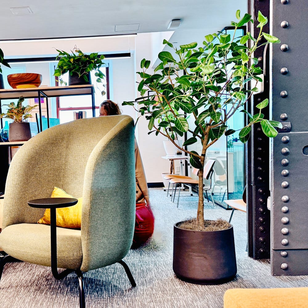 Modern NYC office lounge with stylish chair, indoor plants, and industrial decor.