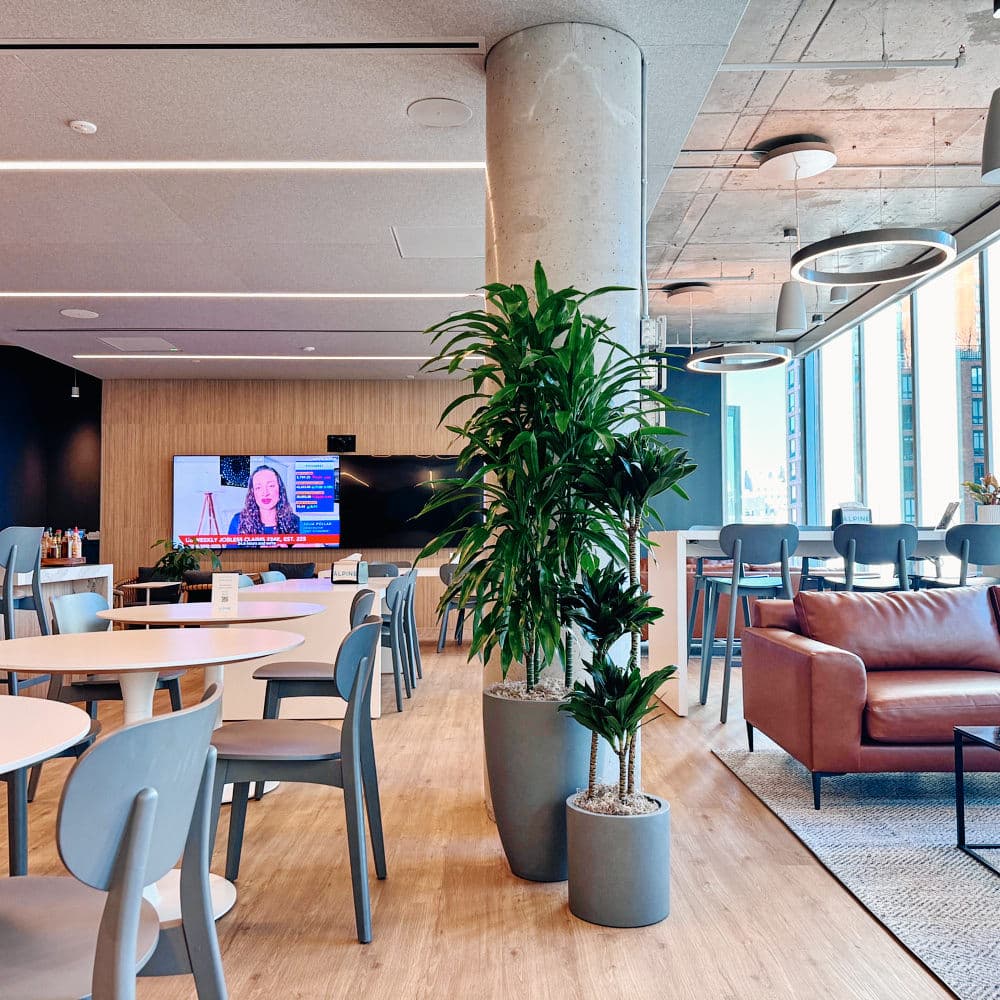 Modern office lounge with plants, TV, and seating.