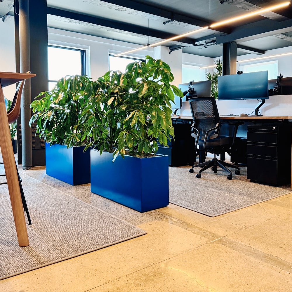 Modern office space with ergonomic chairs, desk setup, and lush green plants.