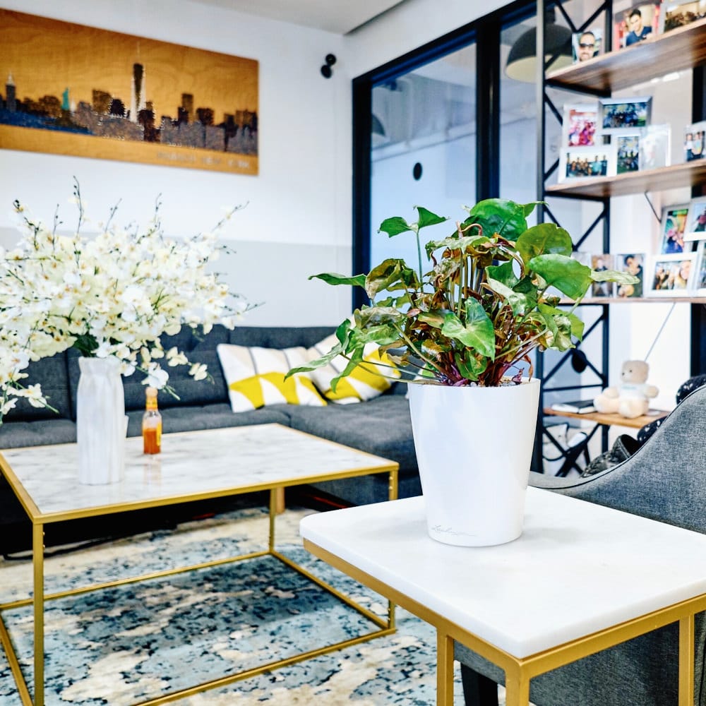NYC office lounge with gray sofa, white coffee table, indoor plants, and decorative shelving.