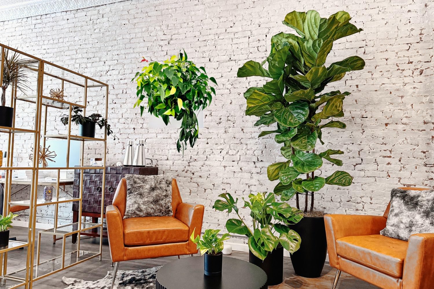 Modern NYC office with leather chairs, indoor plants, and white brick wall.