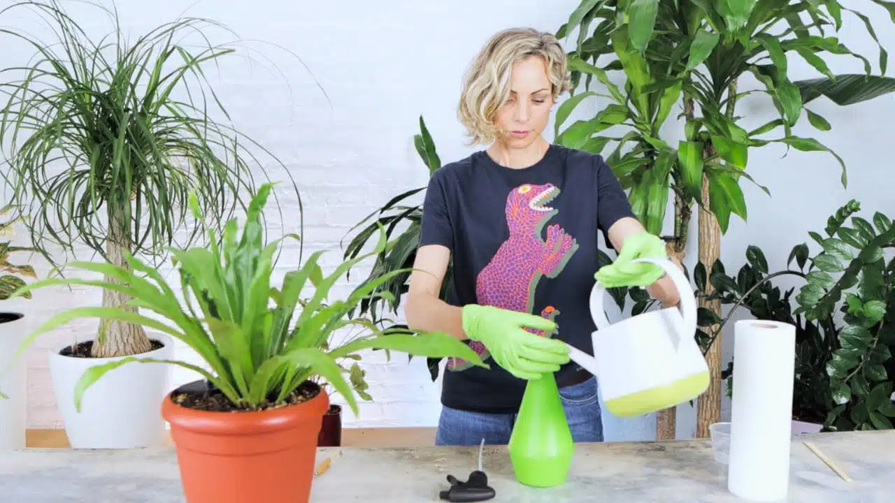Juliette is carefully pouring a liquid from a white watering can into a neon green spray bottle on a table with plants and plant care supplies in the background.