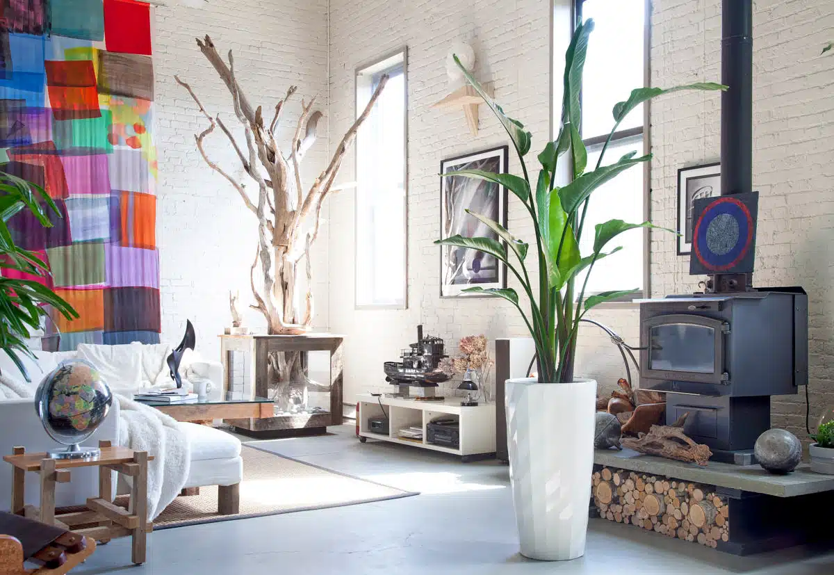 A bright, spacious room with white brick walls featuring a large bird of paradise plant in a white planter, adding a touch of vibrant greenery to the eclectic decor of the space.